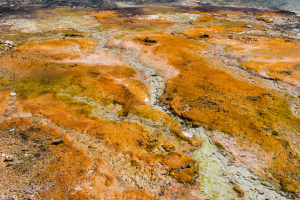 22.7. West Thumb Geyser Basin - Run-off, Surging Spring