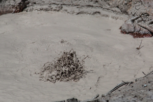 22.7. West Thumb Geyser Basin - Mud Pot am Parkplatz