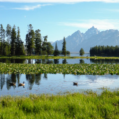 22.7. Heron Pond & Swan Lake Trail