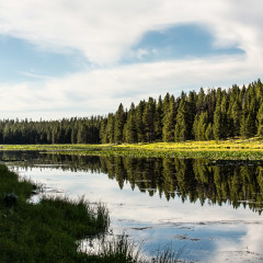 22.7. Heron Pond & Swan Lake Trail