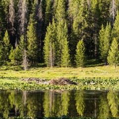 22.7. Heron Pond & Swan Lake Trail