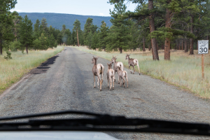 24.7. Flaming Gorge