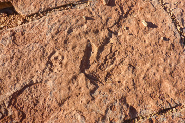 24.-25.7. Red Fleet SP - Dinosaur Tracks