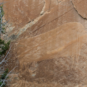 28.7. Big Island - Bison Petroglyph