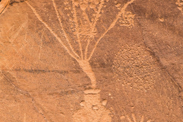 30.7. Petroglyph Drive