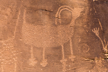 30.7. Petroglyph Drive