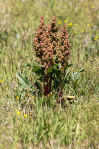 1.8. Steamboat Lake SP