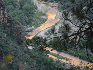 Auf dem Weg zum Observation Point: der Blick auf den Virgin River.