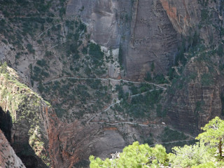 Der Blick auf den Observation Point Trail.