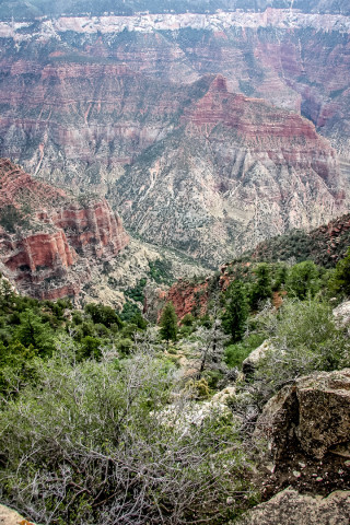 Grand Canyon: Roaring Springs Canyon