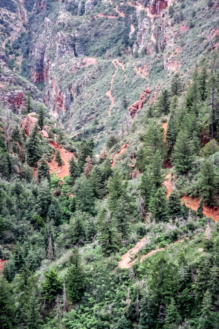 Grand Canyon: North Kaibab Trail