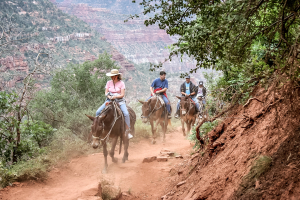 North Kaibab Trail