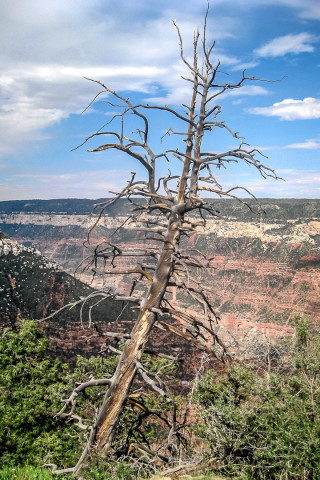 Grand Canyon: Blick in den Bright Angel Canyon.