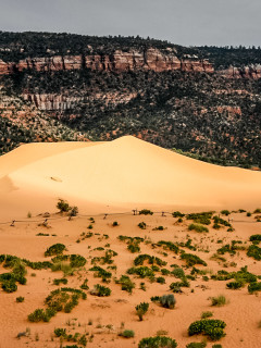 Coral Pink Sand Dunes: Licht Wind, Sand, Rumtollen ...