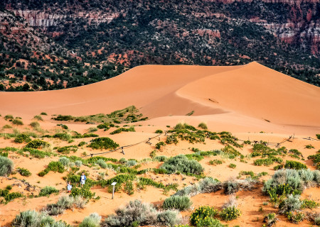 6.7. Coral Pink Sand Dunes