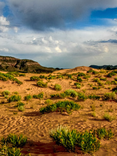 Coral Pink Sand Dunes: Licht Wind, Sand, Rumtollen ...