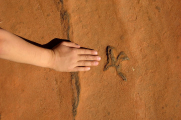 7.7. Wanderung zu den Dinosaur Tracks