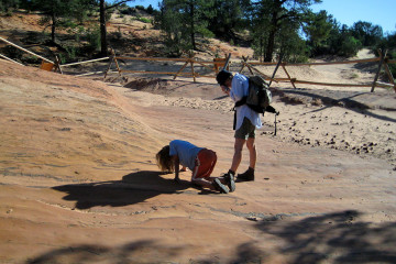 7.7. Wanderung zu den Dinosaur Tracks