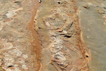 7.7. Wanderung zu den Dinosaur Tracks