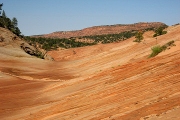 7.7. Wanderung zu den Dinosaur Tracks