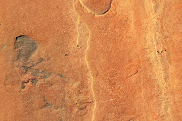 7.7. Wanderung zu den Dinosaur Tracks