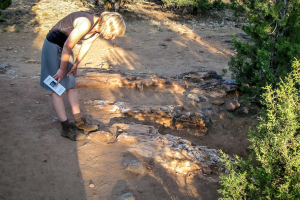 8.7. Versteinerte Baumstämme im Escalante State Park.