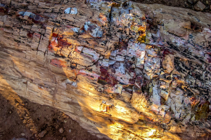 8.7. Versteinerte Baumstämme im Escalante State Park.