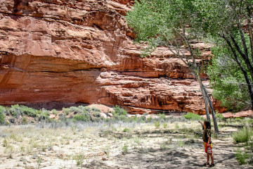 9.7. Wanderung zu Anasazi-Ruinen