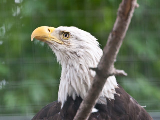 17.-20.7. Denver: Denver Zoo