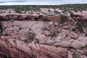 1.-2.8. - Canyon de Chelly