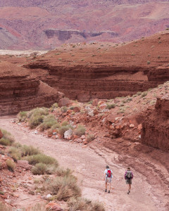 7.8. Wanderung Cathedral Wash