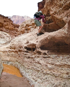 7.8. Wanderung Cathedral Wash