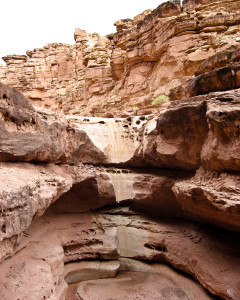 7.8. Wanderung Cathedral Wash