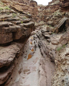 7.8. Wanderung Cathedral Wash