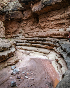 7.8. Wanderung Cathedral Wash