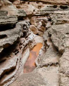 7.8. Wanderung Cathedral Wash