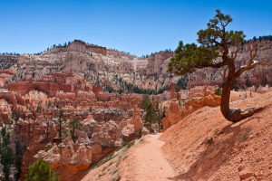 8.8. Bryce - Peek-a-Boo Trail