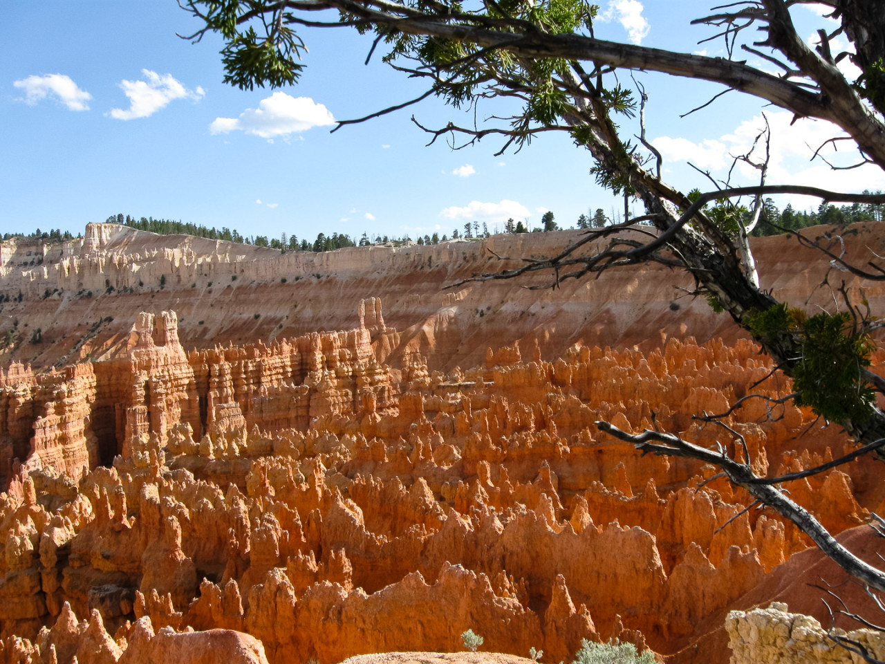 16./17.6. Bryce Canyon - Sunset Point