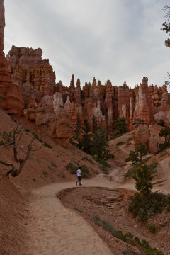 16./17.6. Bryce Canyon - Queens Garden Trail