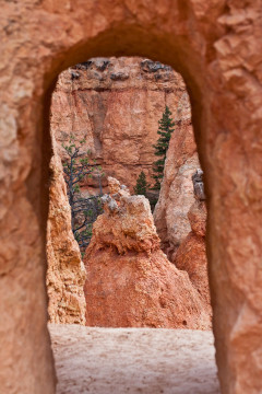 16./17.6. Bryce Canyon - Queens Garden Trail