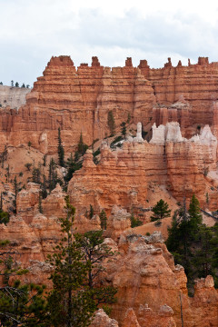 16./17.6. Bryce Canyon - Queens Garden Trail