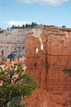 16./17.6. Bryce Canyon - Queens Garden Trail