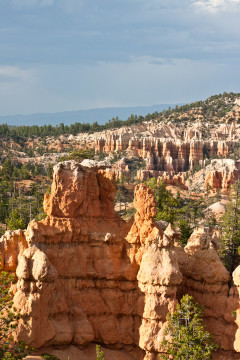 16./17.6. Bryce Canyon - Rim Trail