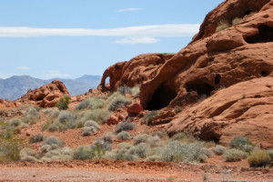 19.6. Valley of Fire - am Visitor Center