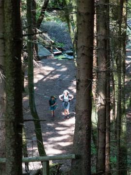 27.5.: Rur zwischen Monschau und Einruhr