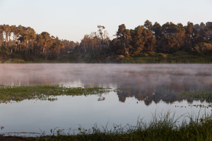 13.-15.7. MacKerricher SP - Lake Cleone