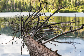 18.-20.7. Lassen NP - Manzanita Lake