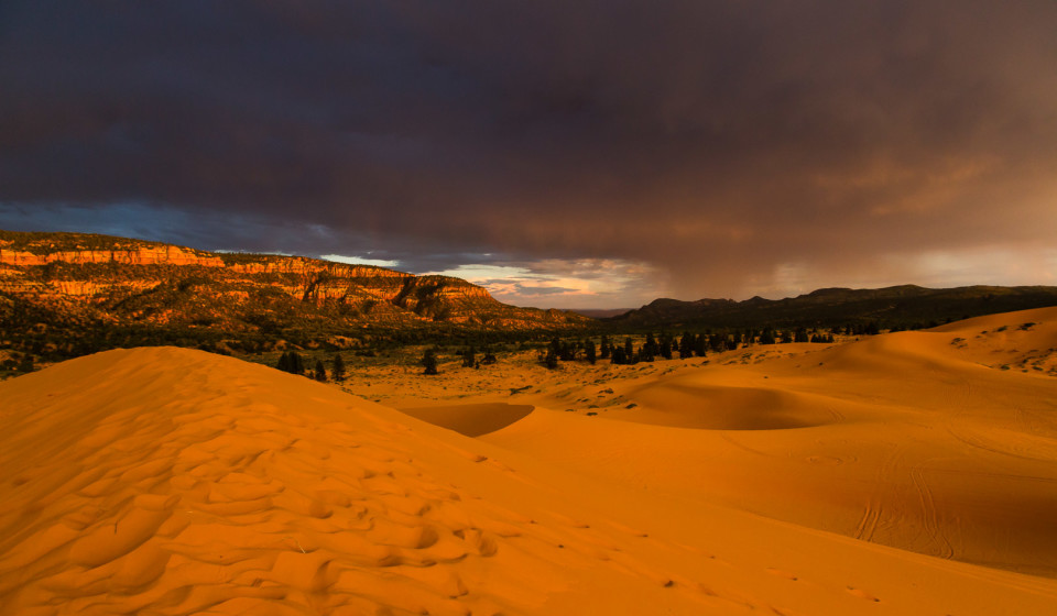 26.7. Coral Pink Sand Dunes SP