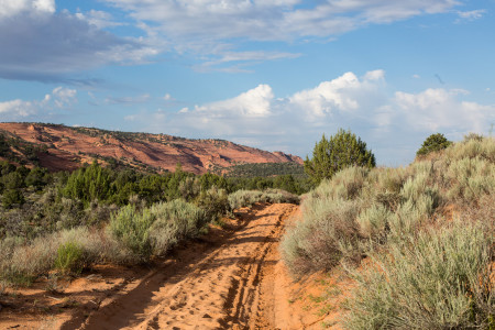 27.7. Dinosaur Tracks im Coral Pink Sand Dunes SP