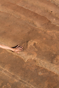27.7. Dinosaur Tracks im Coral Pink Sand Dunes SP